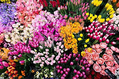 又一款模仿MGS的新作《UNDETECTED》公布